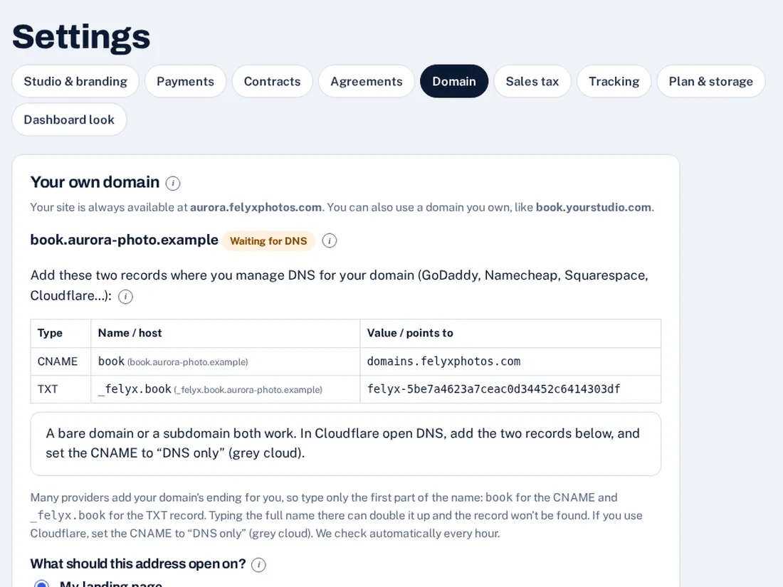 The Domain settings page: a domain waiting for DNS, with the CNAME and TXT records to add at your registrar